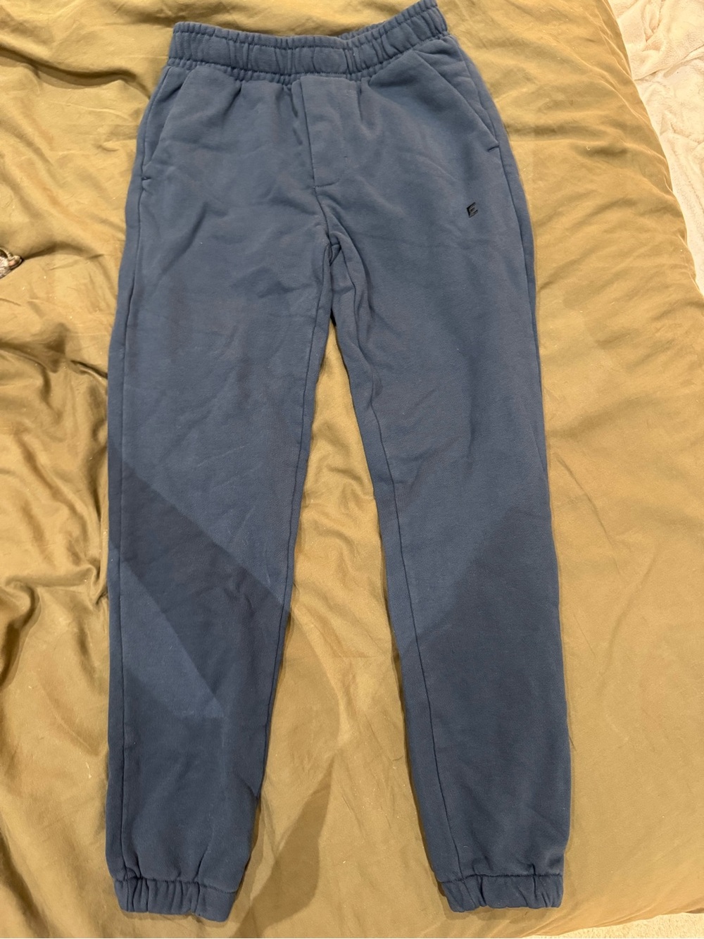 Everlane Kingfisher Blue Fleece Joggers